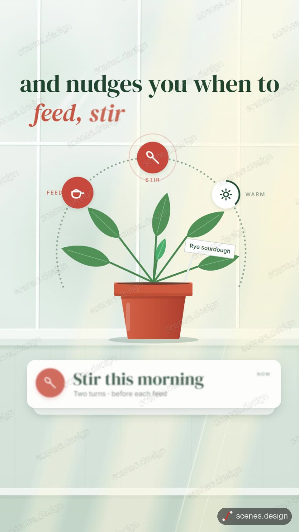 Windowsill plant rescue app: app launch animation